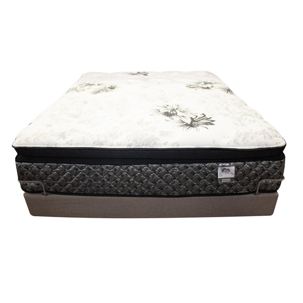 Modern Comfort Euro Top – Sleep Ezzz Mattress Express