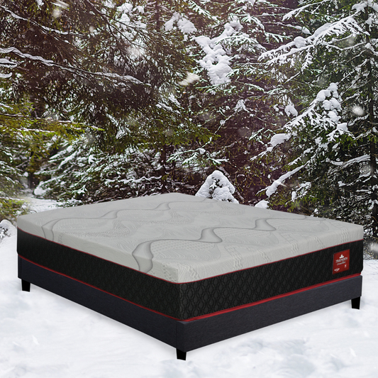 Springwall Churchill Hybrid Mattress